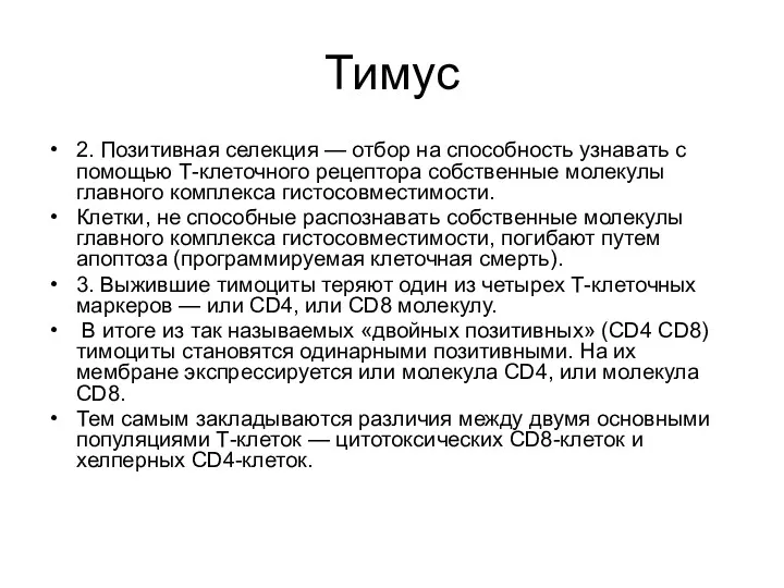 Тимус 2. Позитивная селекция — отбор на способность узнавать с