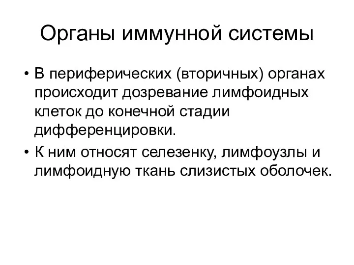 Органы иммунной системы В периферических (вторичных) органах происходит дозревание лимфоидных