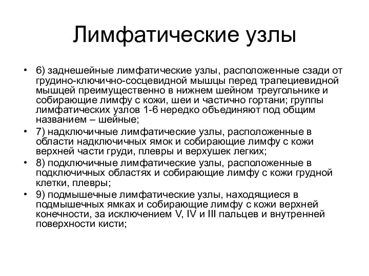 Лимфатические узлы 6) заднешейные лимфатические узлы, расположенные сзади от грудино-ключично-сосцевидной