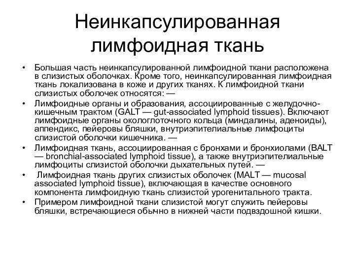 Неинкапсулированная лимфоидная ткань Большая часть неинкапсулированной лимфоидной ткани расположена в