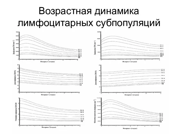 Возрастная динамика лимфоцитарных субпопуляций