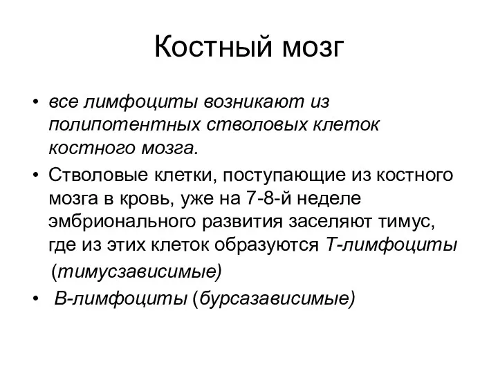 Костный мозг все лимфоциты возникают из полипотентных стволовых клеток костного