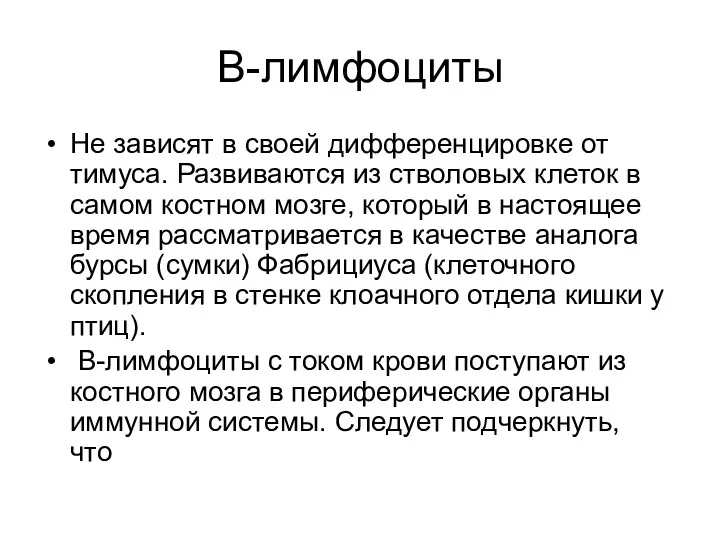 В-лимфоциты Не зависят в своей дифференцировке от тимуса. Развиваются из