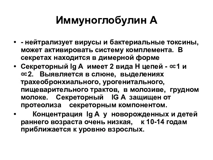 Иммуноглобулин A - нейтрализует вирусы и бактериальные токсины, может активировать