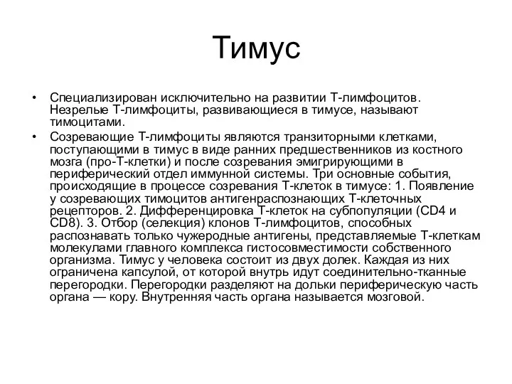 Тимус Специализирован исключительно на развитии Т-лимфоцитов. Незрелые Т-лимфоциты, развивающиеся в