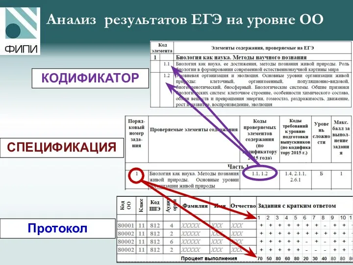 Анализ результатов ЕГЭ на уровне ОО СПЕЦИФИКАЦИЯ КОДИФИКАТОР Протокол