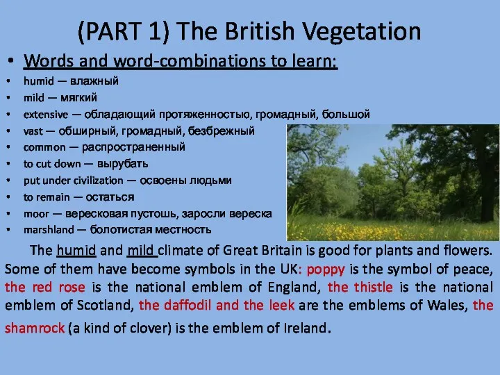(PART 1) The British Vegetation Words and word-combinations to learn: