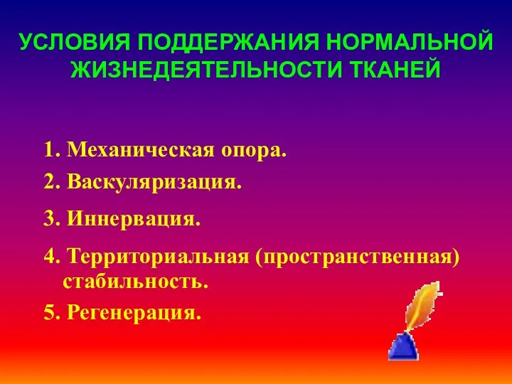 УСЛОВИЯ ПОДДЕРЖАНИЯ НОРМАЛЬНОЙ ЖИЗНЕДЕЯТЕЛЬНОСТИ ТКАНЕЙ 1. Механическая опора. 2. Васкуляризация.