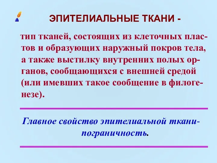 ЭПИТЕЛИАЛЬНЫЕ ТКАНИ - тип тканей, состоящих из клеточных плас-тов и