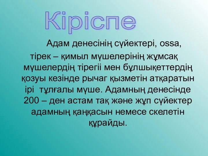 Адам денесінің сүйектері, ossa, тірек – қимыл мүшелерінің жұмсақ мүшелердің