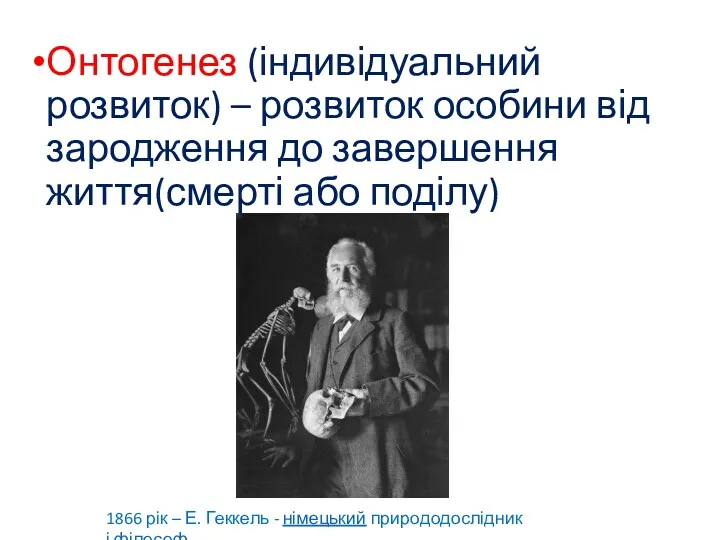 Онтогенез (індивідуальний розвиток) – розвиток особини від зародження до завершення