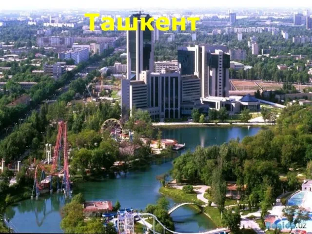 Ташкент