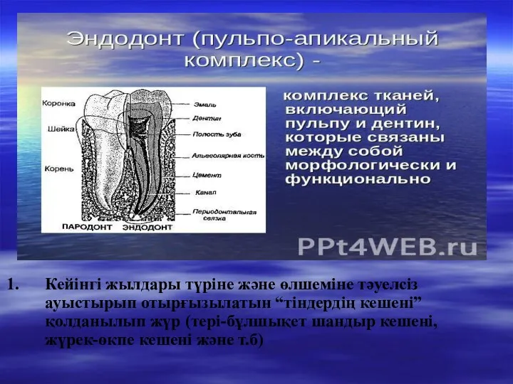 Кейінгі жылдары түріне және өлшеміне тәуелсіз ауыстырып отырғызылатын “тіндердің кешені” қолданылып жүр (тері-бұлшықет