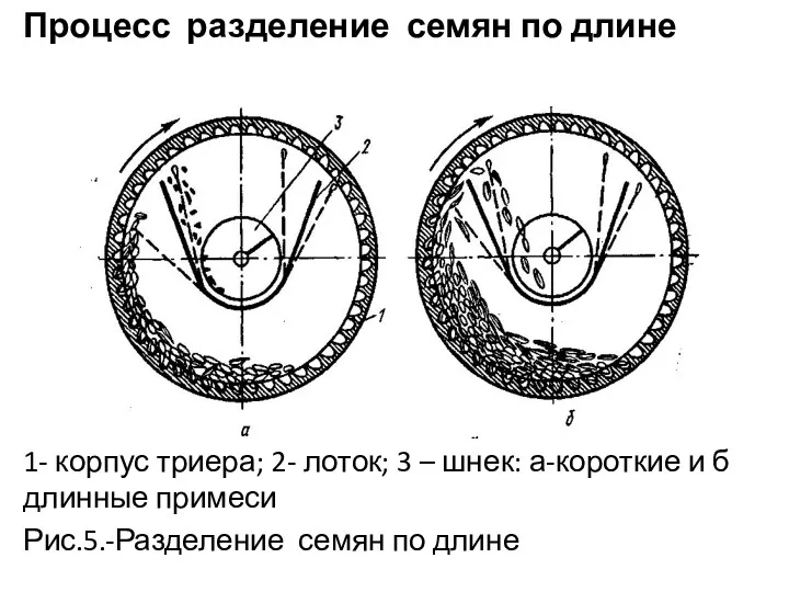 Процесс разделение семян по длине 1- корпус триера; 2- лоток; 3 – шнек: