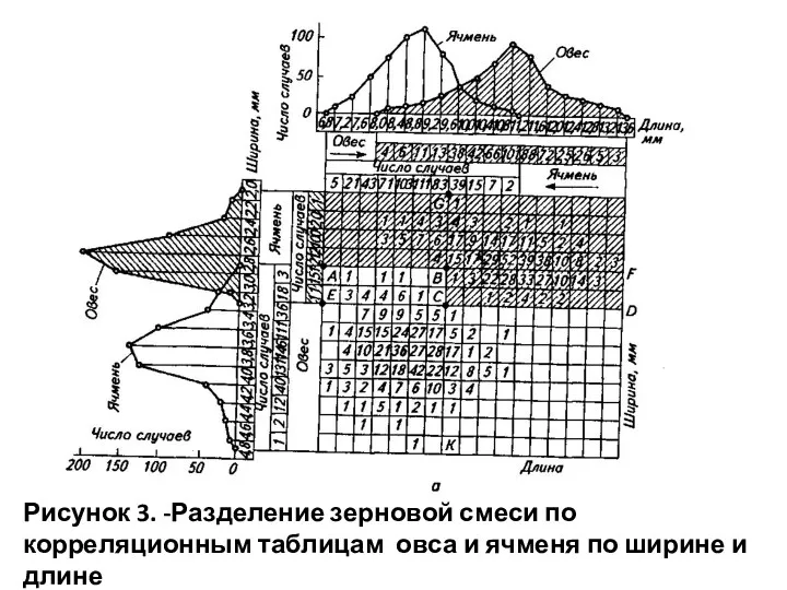 Рисунок 3. -Разделение зерновой смеси по корреляционным таблицам овса и ячменя по ширине и длине