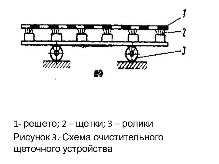 1- решето; 2 – щетки; 3 – ролики Рисунок 3.-Схема очистительного щеточного устройства