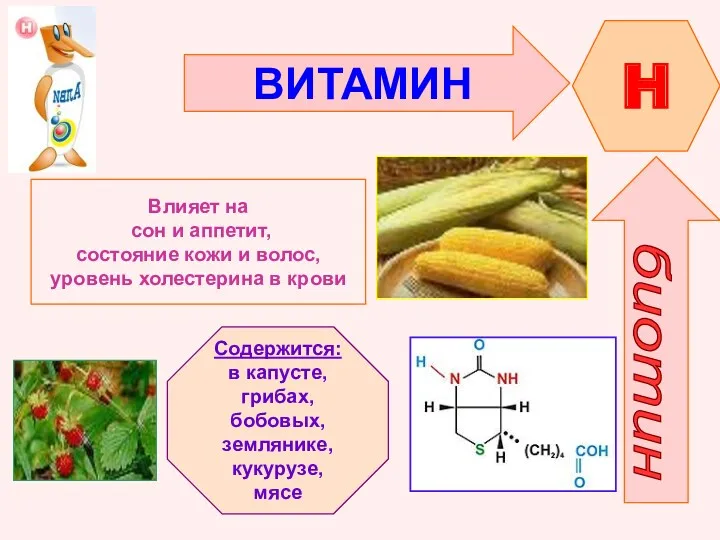 ВИТАМИН H биотин Влияет на сон и аппетит, состояние кожи