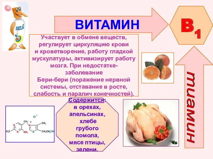 ВИТАМИН B1 Участвует в обмене веществ, регулирует циркуляцию крови и кроветворение, работу гладкой