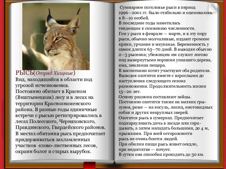 РЫСЬ(Отряд Хищные) Вид, находящийся в области под угрозой исчезновения. Постоянно