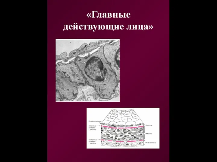 «Главные действующие лица»