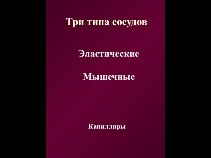 Три типа сосудов Эластические Мышечные Капилляры