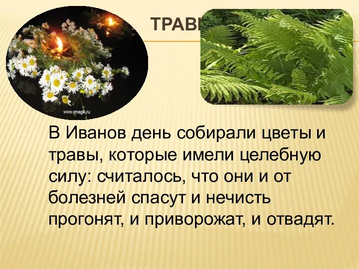 ТРАВЫ В Иванов день собирали цветы и травы, которые имели