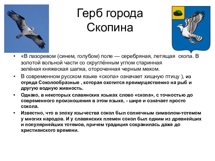 Герб города Скопина «В лазоревом (синем, голубом) поле — серебряная, летящая скопа. В