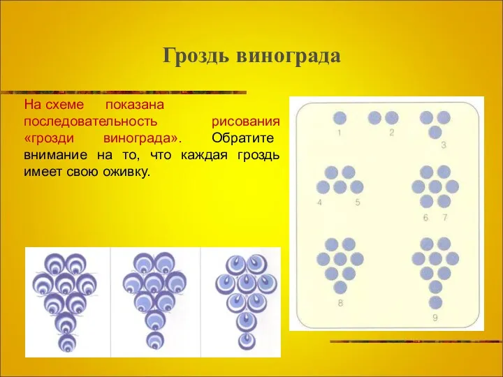Гроздь винограда На схеме показана последовательность рисования «грозди винограда». Обратите