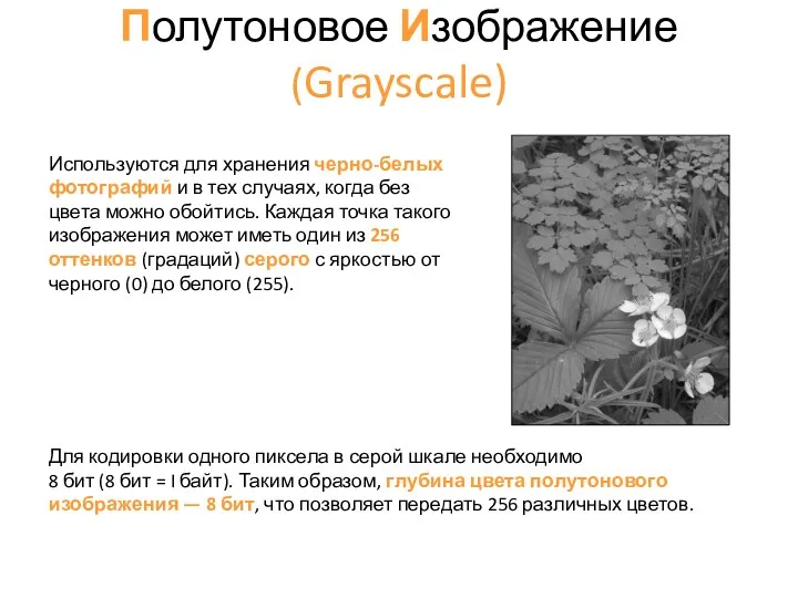 Полутоновое Изображение (Grayscale) Для кодировки одного пиксела в серой шкале