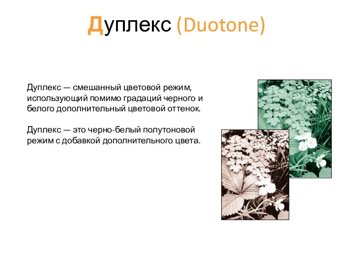 Дуплекс (Duotone) Дуплекс — смешанный цветовой режим, использующий помимо градаций