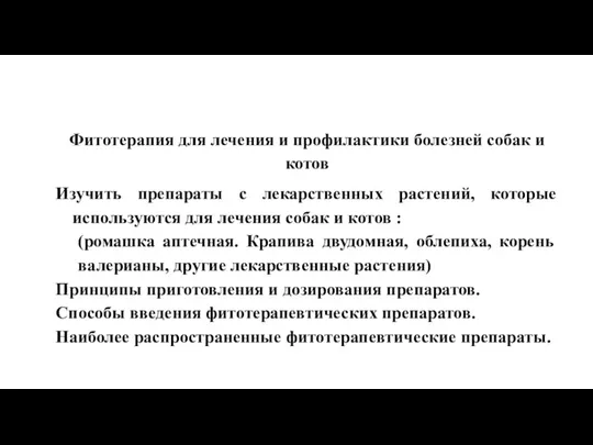 Фитотерапия для лечения и профилактики болезней собак и котов Изучить препараты с лекарственных