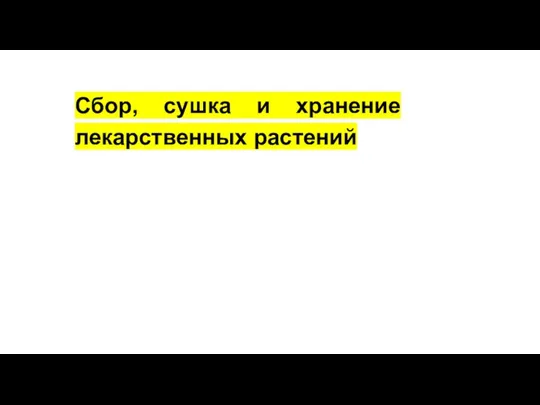 Сбор, сушка и хранение лекарственных растений