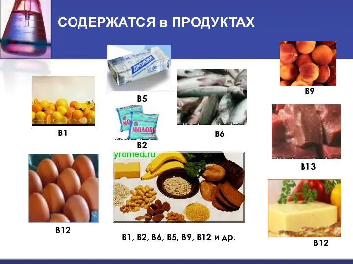 СОДЕРЖАТСЯ в ПРОДУКТАХ B1 B2 B13 B12 B12 B9 B5