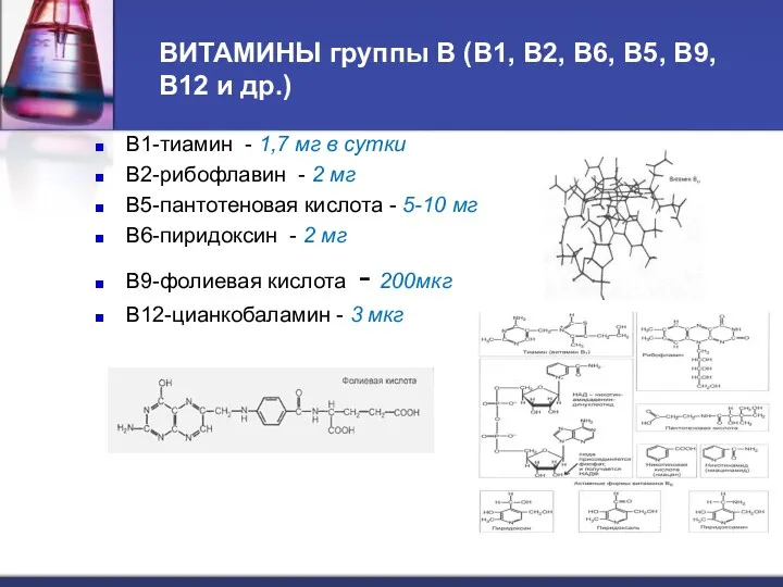 ВИТАМИНЫ группы В (В1, В2, В6, В5, В9, В12 и