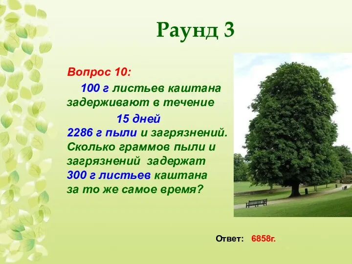 Вопрос 10: 100 г листьев каштана задерживают в течение 15