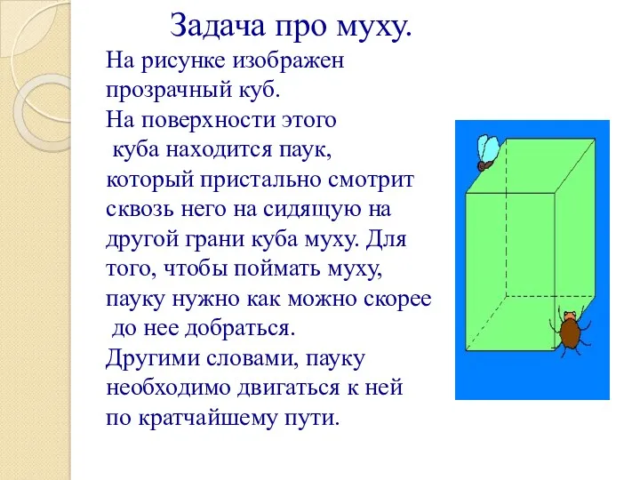 Задача про муху. На рисунке изображен прозрачный куб. На поверхности