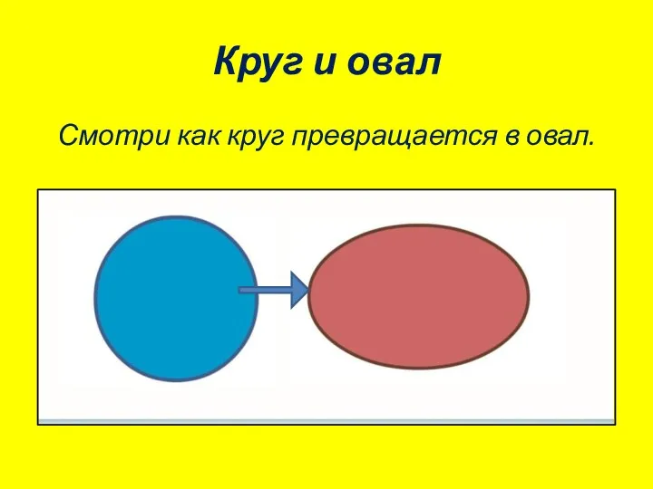 Круг и овал Смотри как круг превращается в овал.