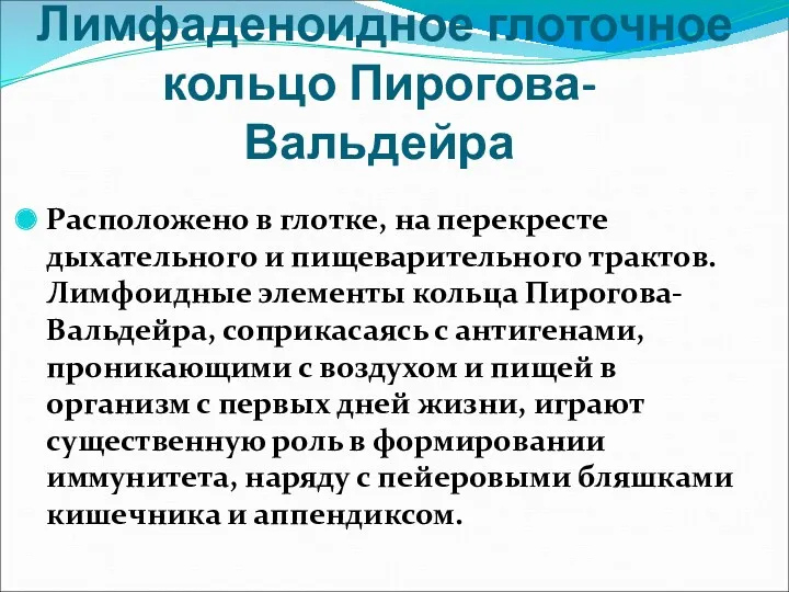 Лимфаденоидное глоточное кольцо Пирогова-Вальдейра Расположено в глотке, на перекресте дыхательного