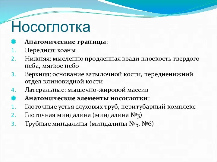 Носоглотка Анатомические границы: Передняя: хоаны Нижняя: мысленно продленная кзади плоскость