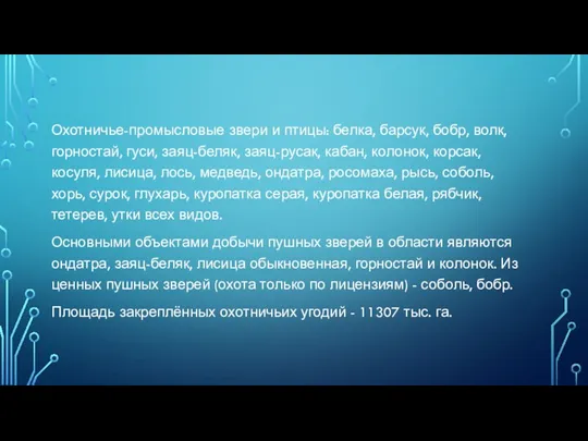 Охотничье-промысловые звери и птицы: белка, барсук, бобр, волк, горностай, гуси,