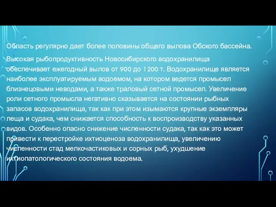 Область регулярно дает более половины общего вылова Обского бассейна. Высокая