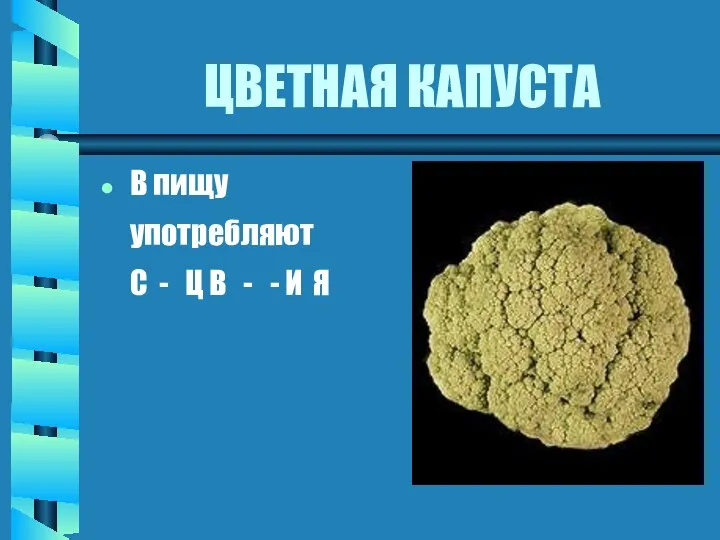 ЦВЕТНАЯ КАПУСТА В пищу употребляют С - Ц В - - И Я