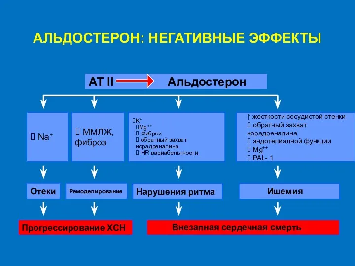 АЛЬДОСТЕРОН: НЕГАТИВНЫЕ ЭФФЕКТЫ АТ II Альдостерон Отеки Ремоделирование Нарушения ритма