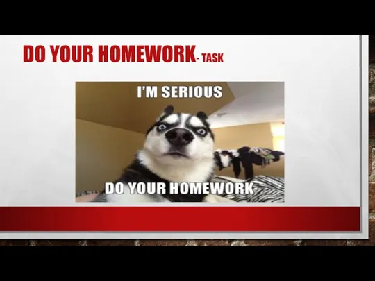 DO YOUR HOMEWORK- TASK