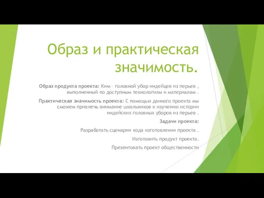 Образ и практическая значимость. Образ продукта проекта: Ким – головной