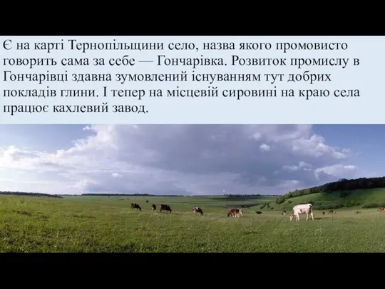 Є на карті Тернопільщини село, назва якого промовисто говорить сама