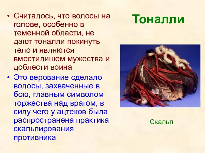 Тоналли Считалось, что волосы на голове, особенно в теменной области,