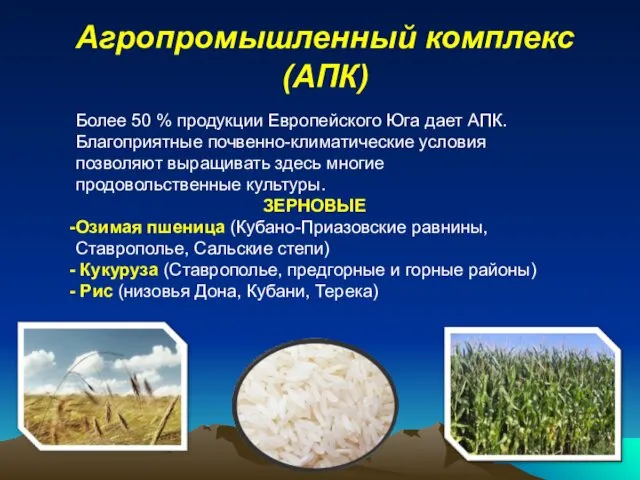 Агропромышленный комплекс (АПК) Более 50 % продукции Европейского Юга дает