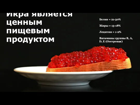 Икра является ценным пищевым продуктом Белки = 21-30% Жиры = 13-18% Лецитин =