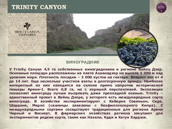 TRINITY CANYON ВИНОГРАДНИК У Trinity Canyon 4,5 га собственных виноградников